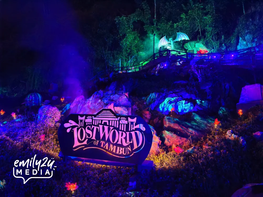 Luminous Forest