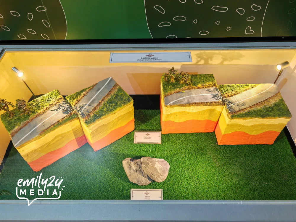exhibits
