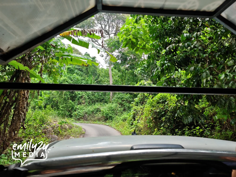 navigating 3km of steep trail