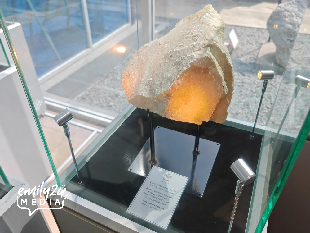 one of the exhibits