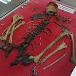 Lenggong Valley Archaeology Gallery thumbnail