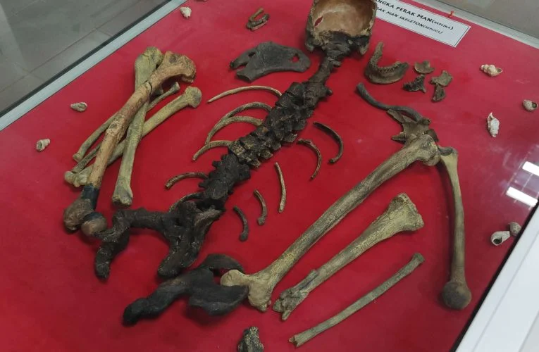 Lenggong Valley Archaeology Gallery