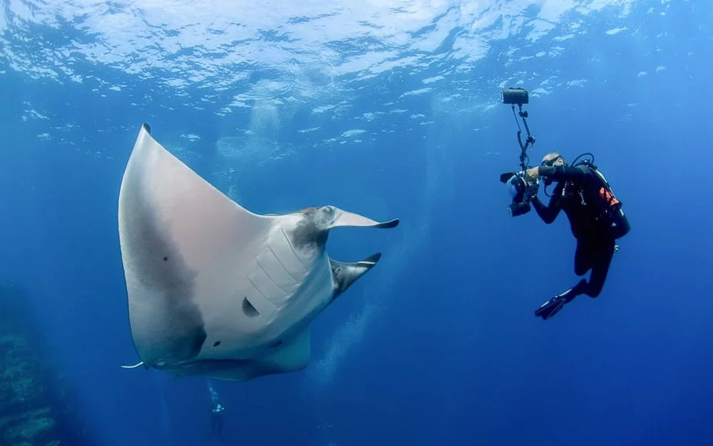 underwater photography (image credit: shotkit.com)