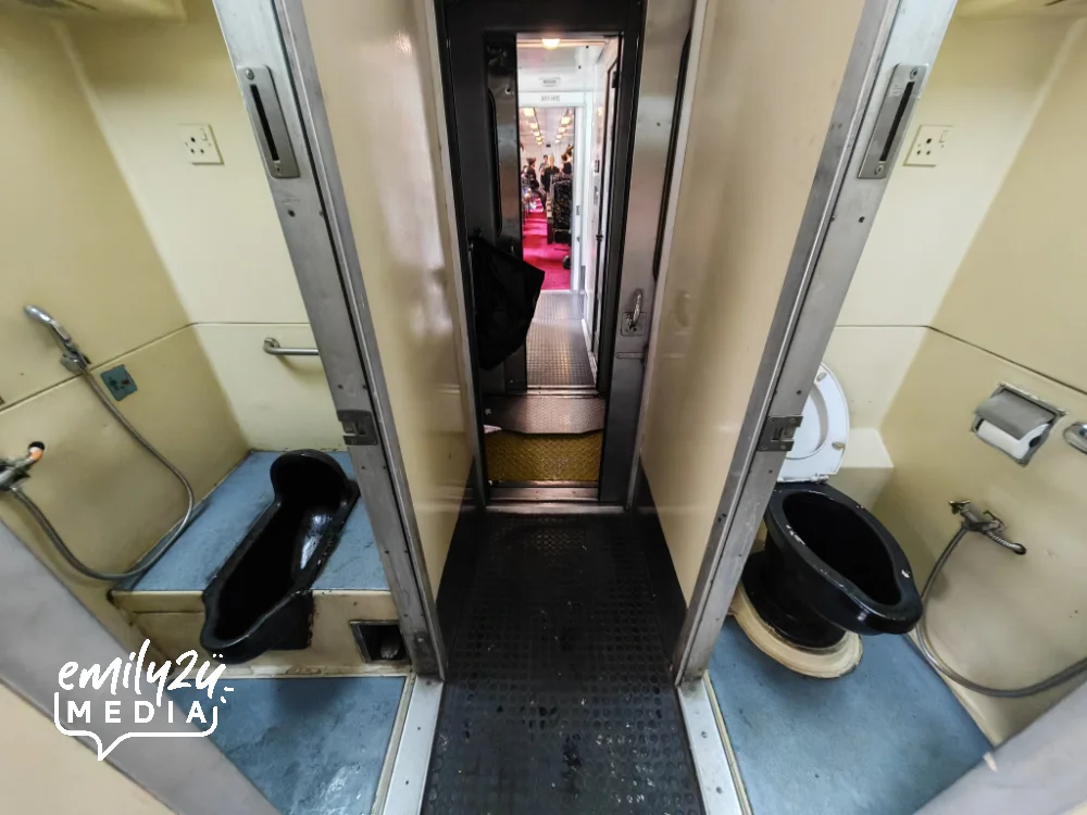 two types of toilets