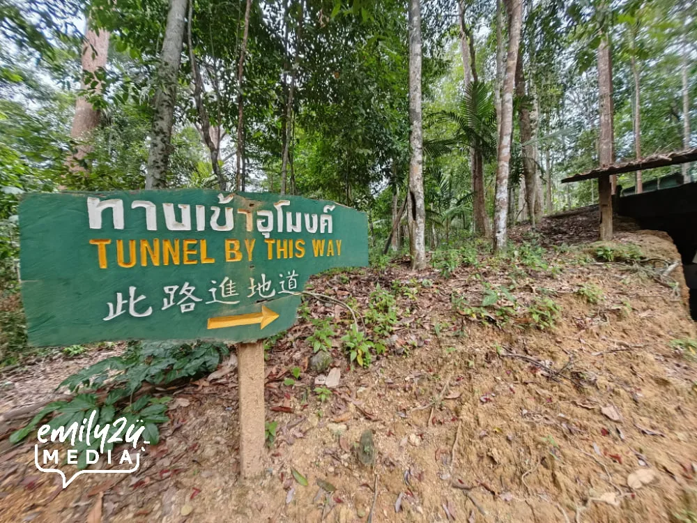 signage: tunnel by this way