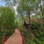 Matang Mangrove Eco-Educational Centre