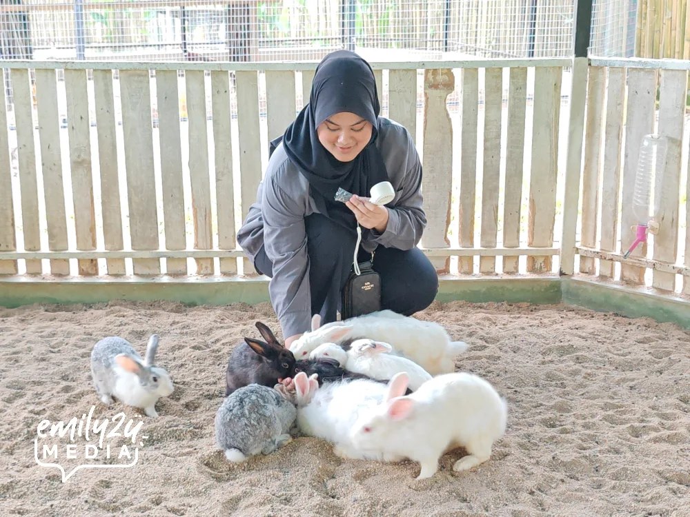 rabbit pen