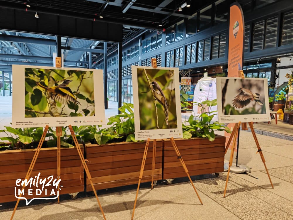 some of the birding photographs on display during Genting Nature Adventures Conference of Experts and Collaborators 2025 (Workshop 1)
