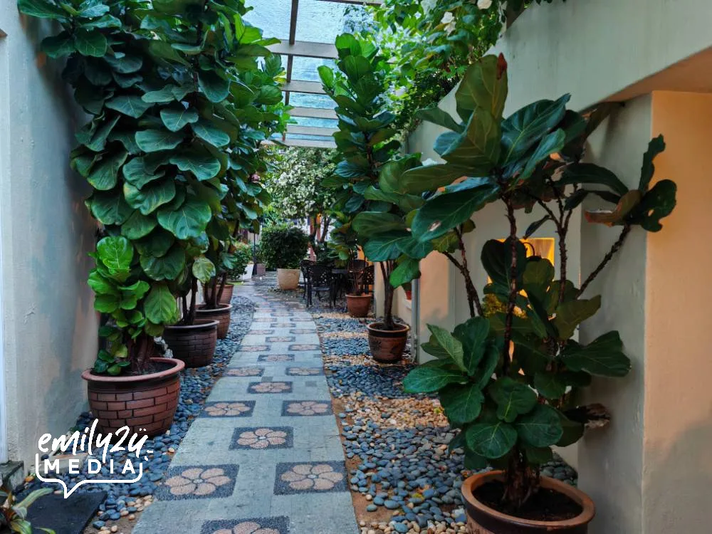 garden area
