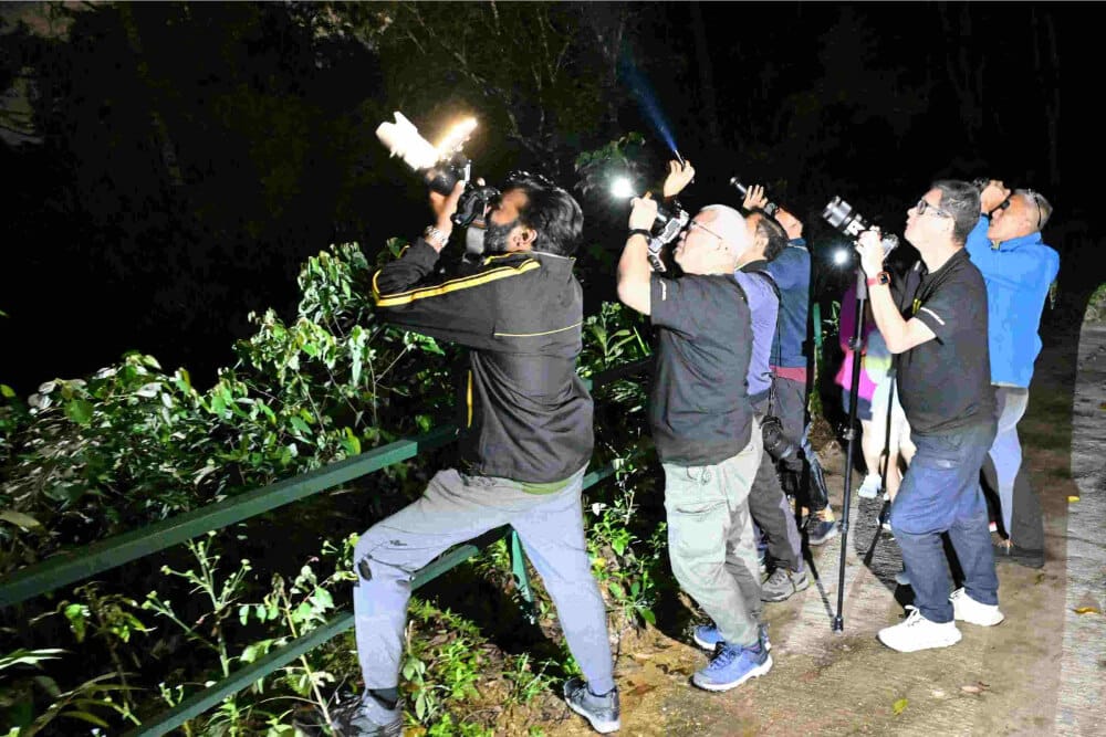 a night safari outing along the Awana Trail