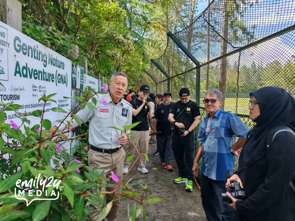 tour of Awana Trail
