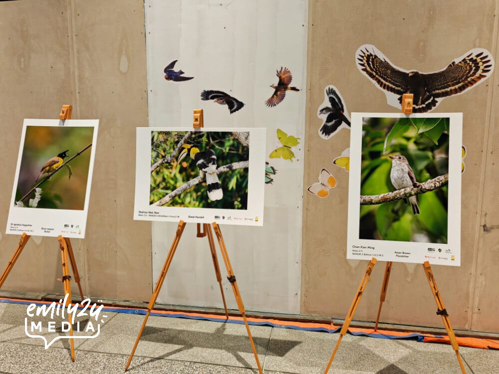 some of the birding photographs on display during Genting Nature Adventures Conference of Experts and Collaborators 2025 (Workshop 1)