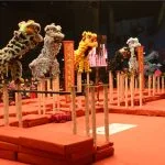 Futuromic Photo AV Upholds Culture Preservation at the 15th Genting World Lion Dance Championship launch of the 15th Genting World Lion Dance Championship