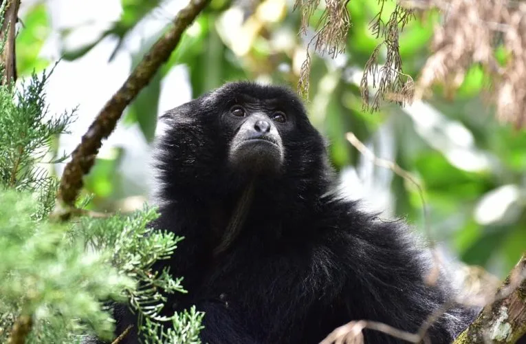 Experts Guiding The Mission of Genting Nature Adventures (GNA)