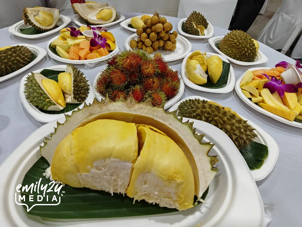 Makro Hat Yai Fruit Buffet