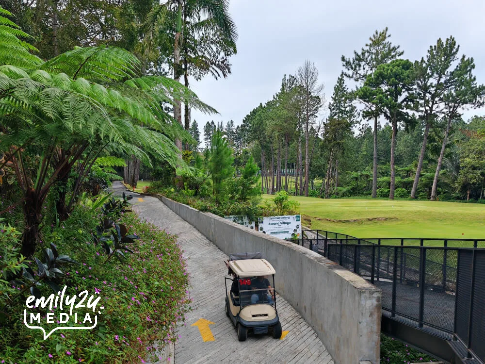 mobility-friendly Awana Trail