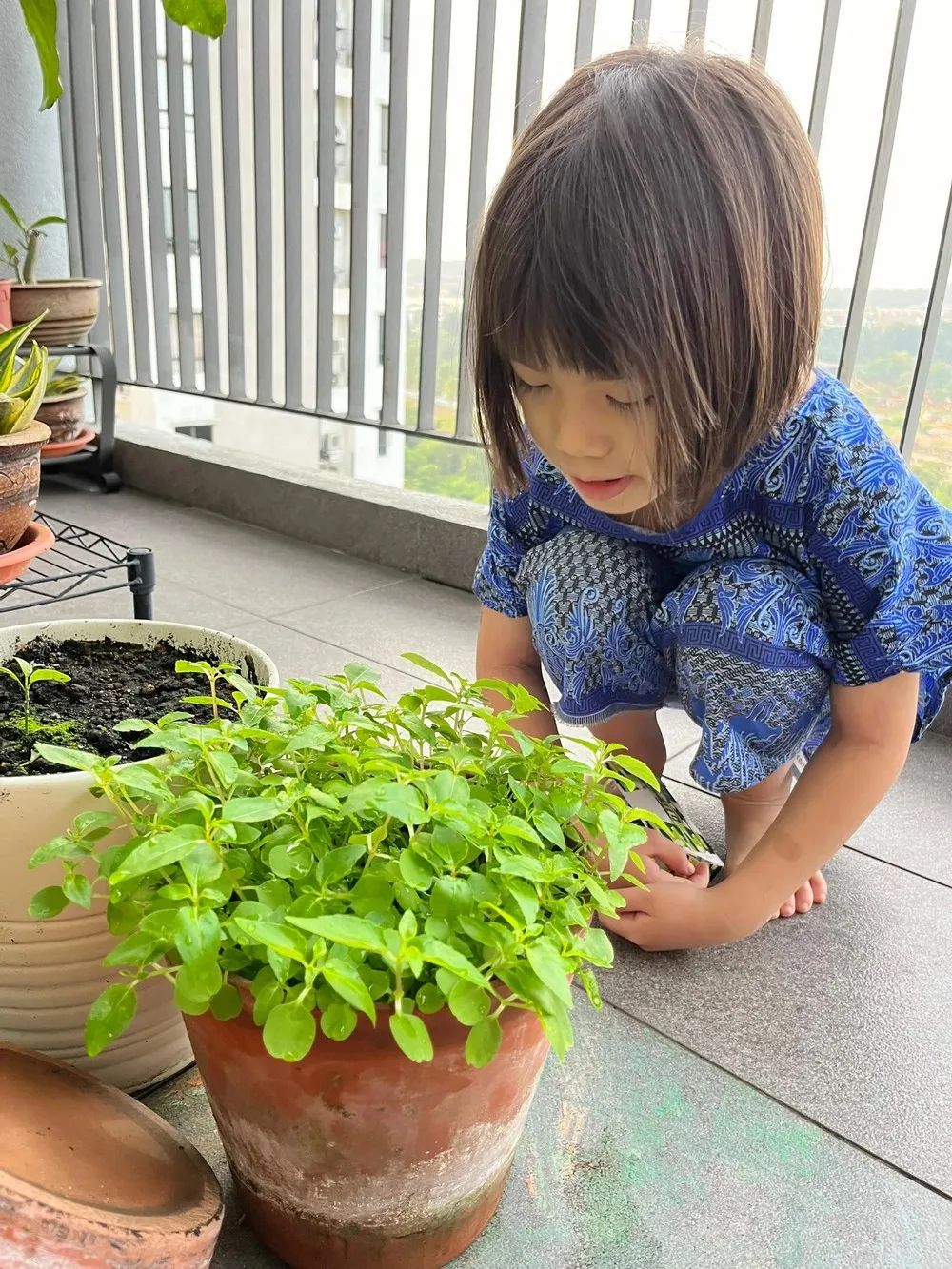 Hayley waits for her plant to flower at home