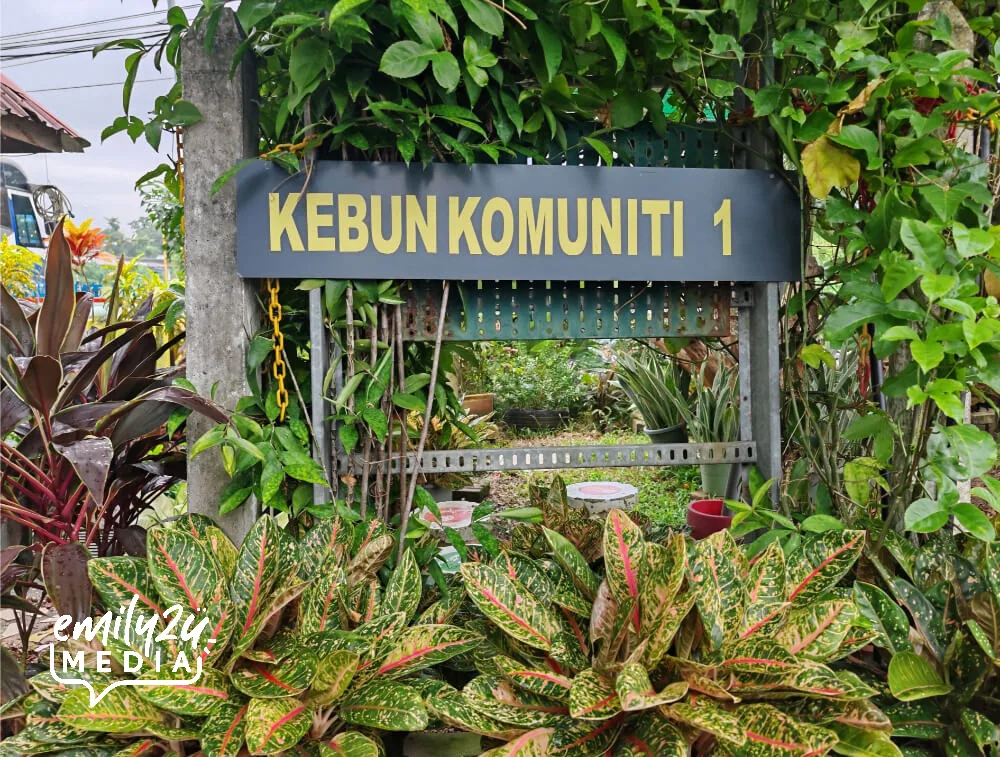 Kebun Komuniti 1