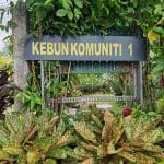 Taman Tanjung Api Api Urban Farming