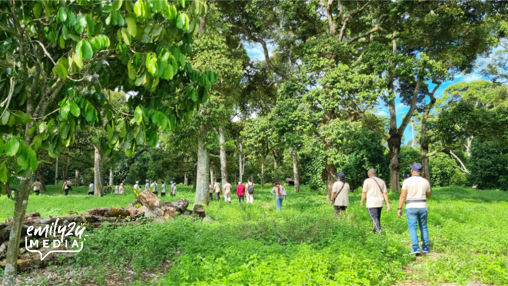 tour of the durian orchard