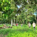 Melaka Surreal Durian Experience 2026: Day 2 - From Durian Orchard to Ghosts, Cendol and Grill Eco Do Bem Cafe & Durian Park thumbnail