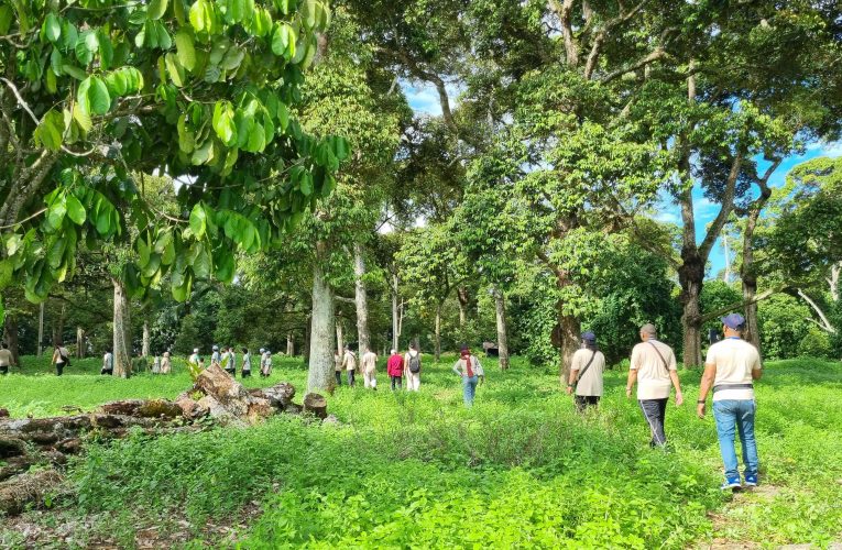 Melaka Surreal Durian Experience 2026: Day 2 – From Durian Orchard to Ghosts, Cendol and Grill